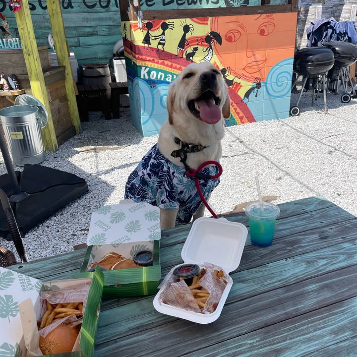 F9765da1 c8b5 4b62 ba36 df7c41019699 1649223724153