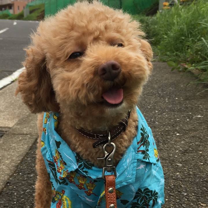 F976895b a34e 44cc beb3 473afa9a23f0 1532824967179