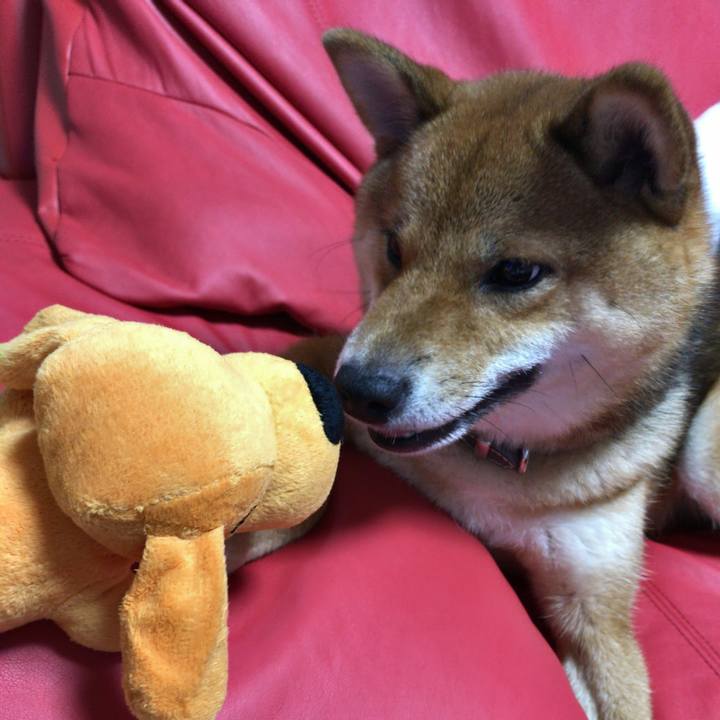 F976a983 269d 46a0 80a9 0b4ec8592ec4 1525946043719