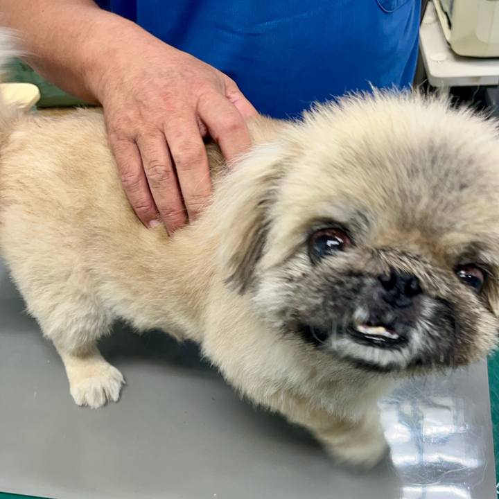 F97766f8 0fd3 4e94 ad4e d521b4cd926c 1755554542016