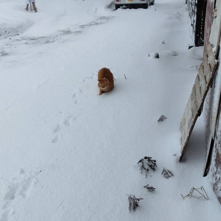 F9776fd0 96af 4f5e b3e4 dfb38e5fa365 1674630978327