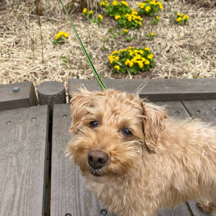 F977a902 1aa4 438e 83c2 5caf64b2c9f5 1619237554145