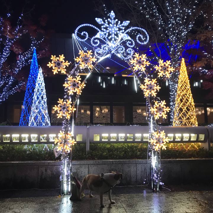 F977b650 be85 4ec9 b989 ed728d1fd679 1543912692242