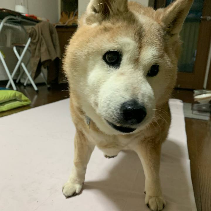 F977baae 36ad 4d28 8cc1 ffff4babf444 1678705314226