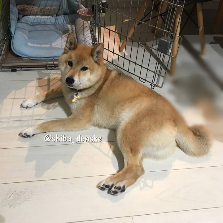 F977bfd8 a22c 4610 a1f8 5983a3efb8e2 1528877545335