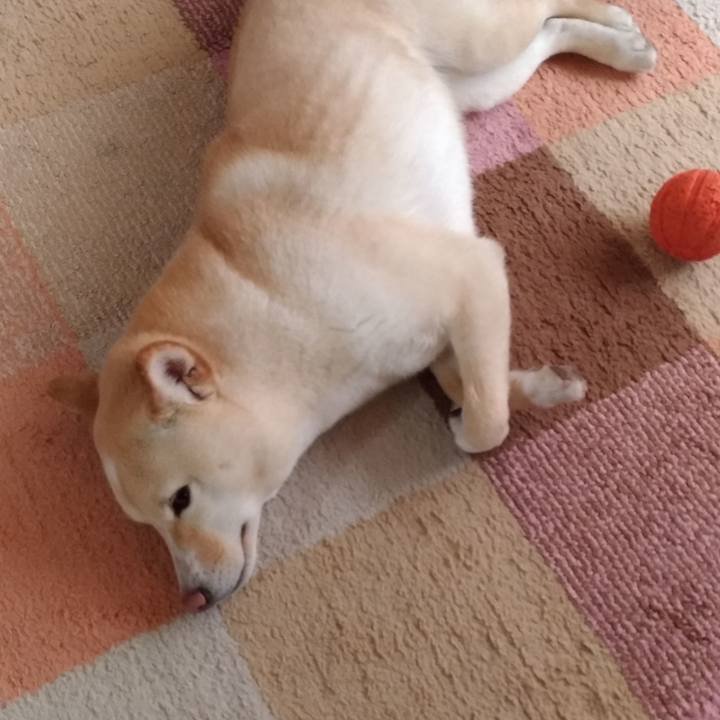 F977fa67 cf0c 42ba 8e31 df36fbc78f59 1555455813931