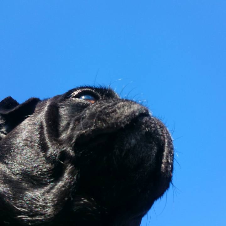 F9782f66 14c7 48ab 9c44 64d4f6aa182c 1512783391242