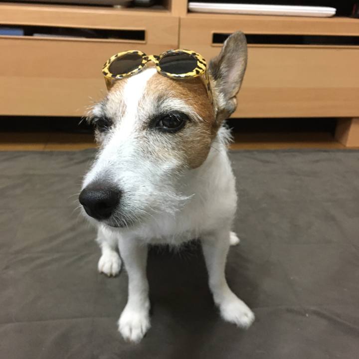 F97899f9 96f5 4cb7 9026 52a2a0d7e0fe 1599359351958