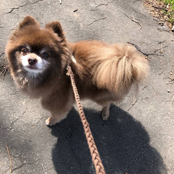 F978d52a acf8 4a6f 9e47 546160d6a3ff 1617330462534