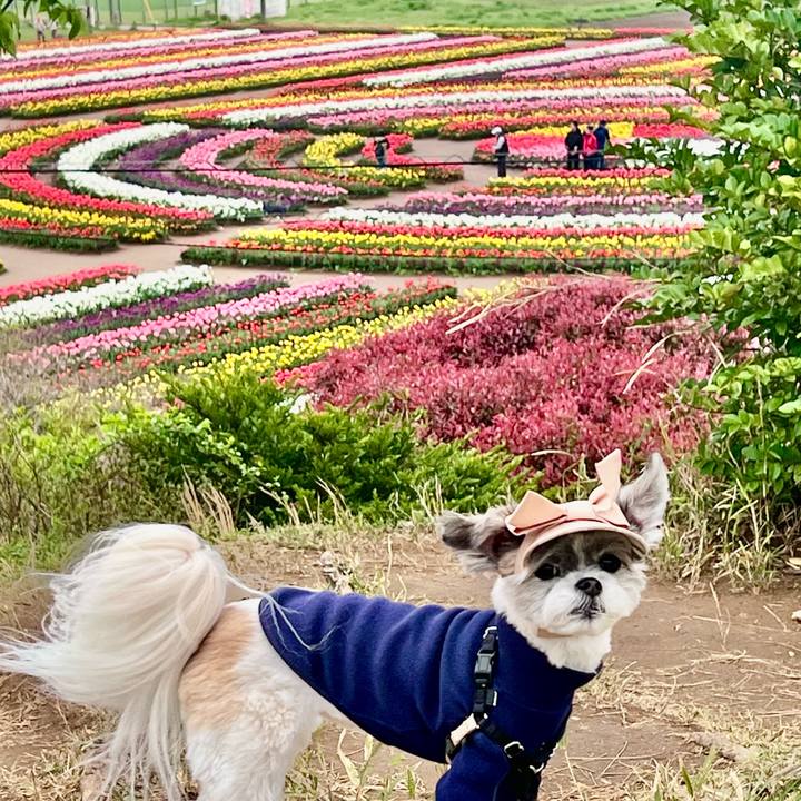 F978db1e 47fc 4ed6 9aeb 39fdf8af2afa 1776031949982