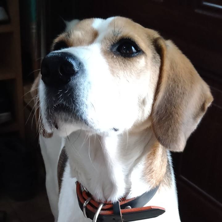 F978e502 3d7d 438e aaad 02a29c84670e 1635398563331