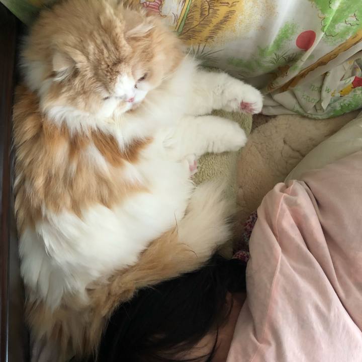 F9793b15 785e 4994 8e2e 5f63939890a4 1651881416915