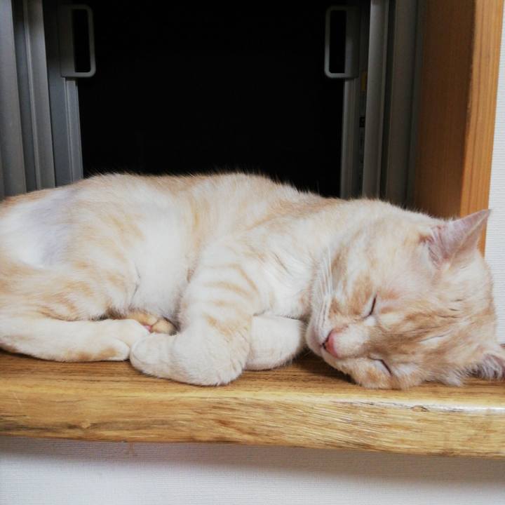 F9793b5e e8b2 45cb 90cc f9d5ed1680f6 1623583672180