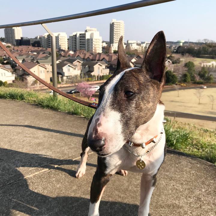 F9793c23 3f88 4ee8 a2c6 a3300916632d 1521966587828