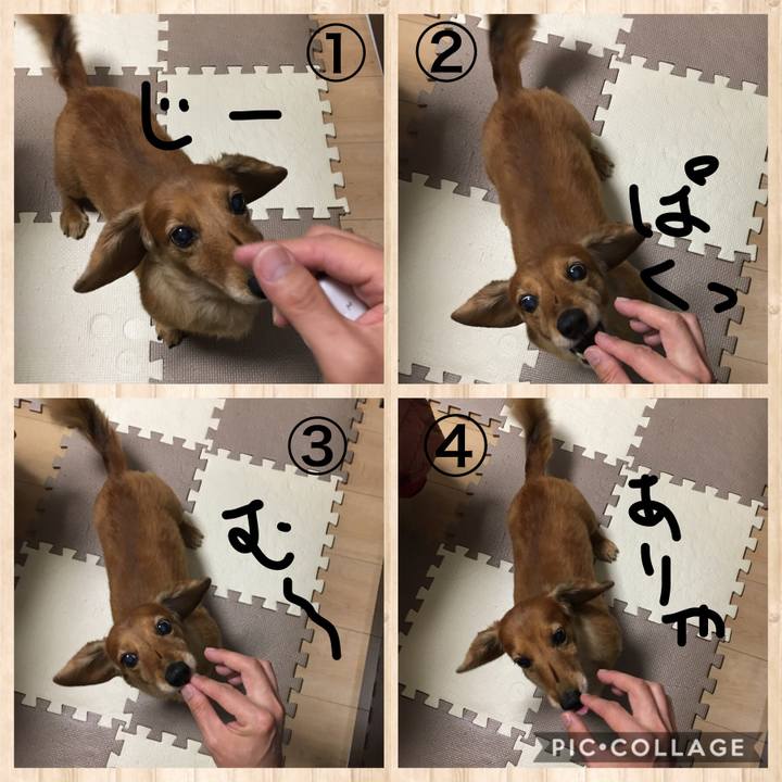 F9798161 0725 4501 9a3e 4bfcbdbecdae 1578921746270