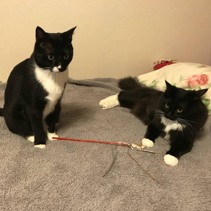 F979a4fb 86c0 4ba0 b6f2 18f649541940 1520984051734