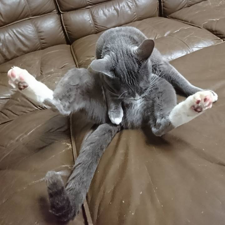 F979b282 c6b7 417b b7c3 b2be5a689de8 1516159718148