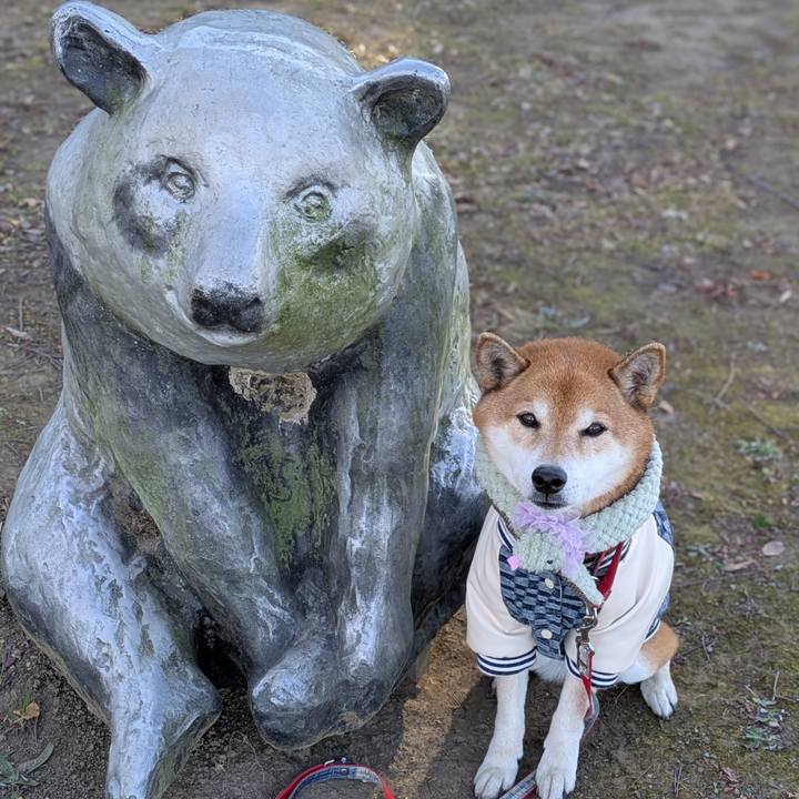 F979fae5 3a22 4303 a007 b71a799f9db7 1737215349571