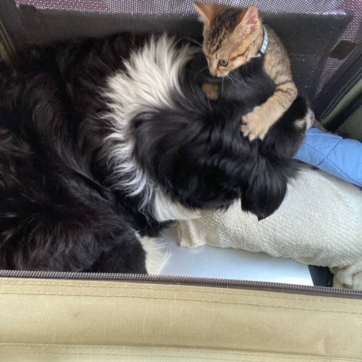 F979fde1 5cbb 4a59 a12f 2e1be66c3c58 1623649382593