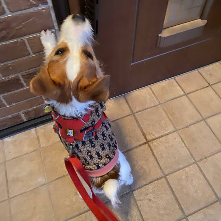 F97a1c1c d6bc 4cf6 9b29 fc3c022ed326 1674599035571