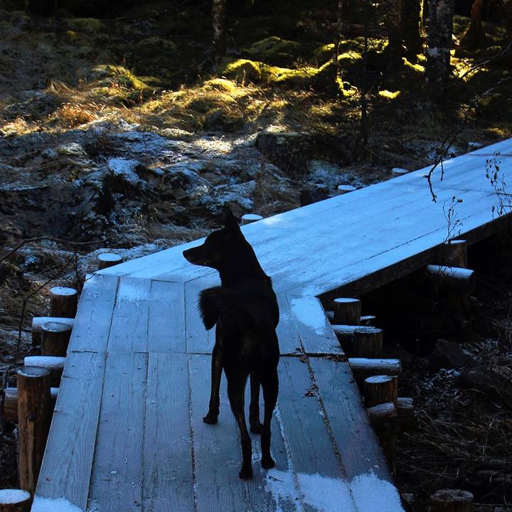 F97a1f3e 42c8 4db2 ae93 3b4cc368c256 1584006230103