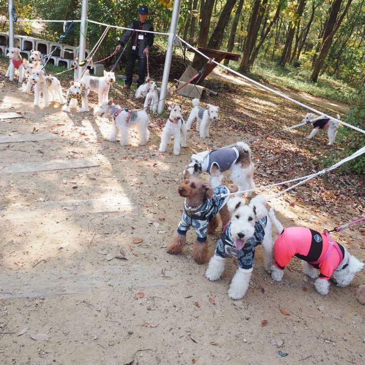 F97a6d23 587a 439c a196 4760340e6614 1541917194867