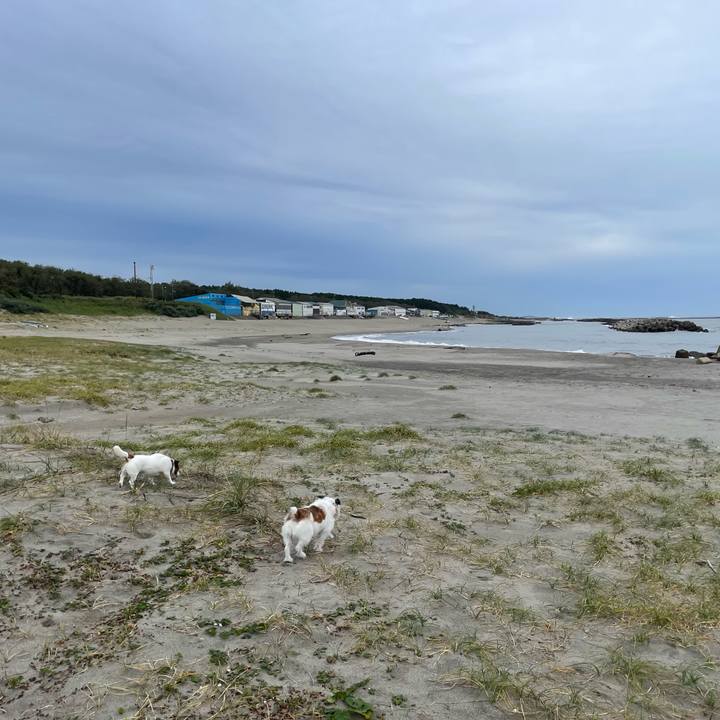 F97a71fa 661a 4aae bd3e c62802b32d50 1760399980622