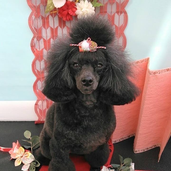 F97a786a 3ff7 46c2 ae1e 0c0bbf44b322 1641269474692