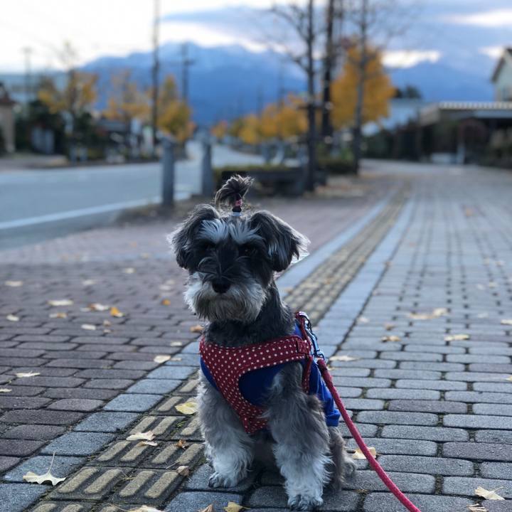 F97aa3aa 646b 4e63 a2f9 e365d55a0b50 1543145356146