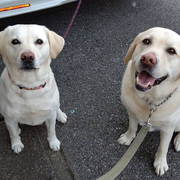 F97aae96 04b9 4bd7 a708 20e0af8298b7 1615883567742