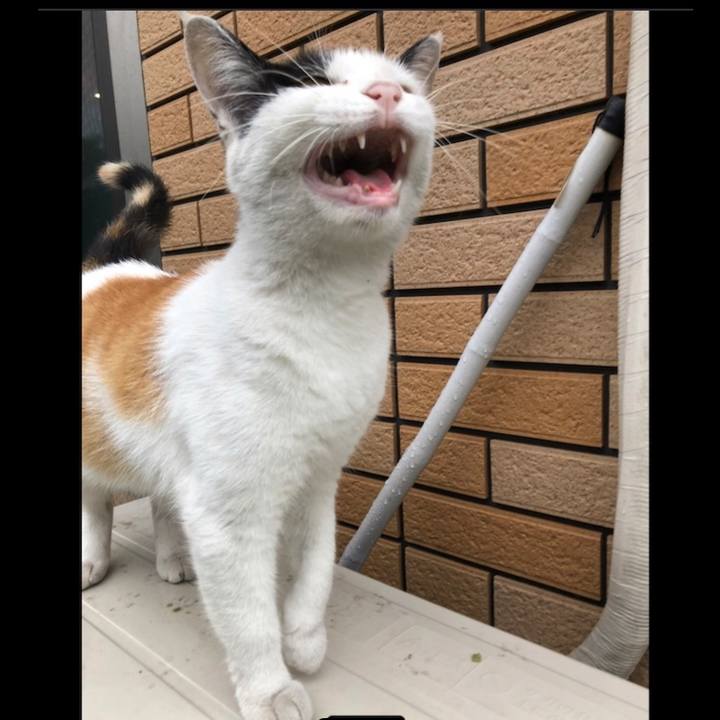 F97added e356 45be ac55 d60ba7b88412 1628811992875