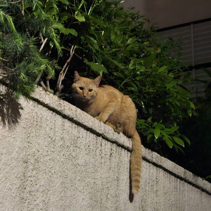 F97b0c70 51f9 4363 987e a30e25fe4691 1714021913525