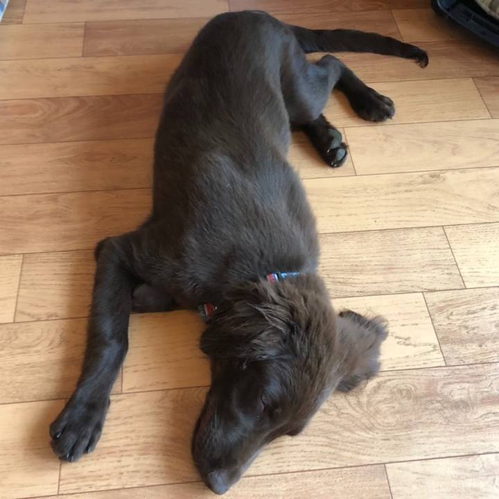 F97b47f0 fe31 4108 a43a 86a116936ff5 1558216876150