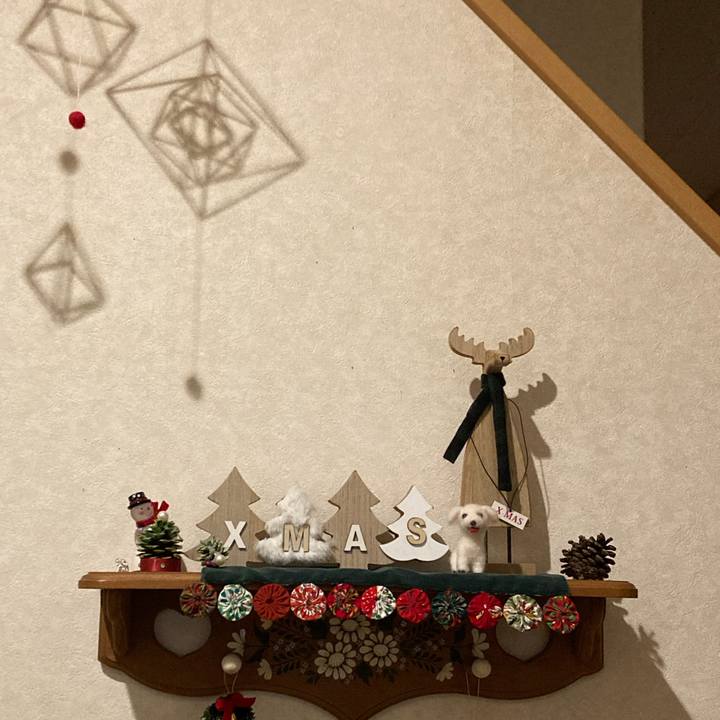 F97b65b5 5880 42c7 950c b5c4cd1c2d06 1735034058724