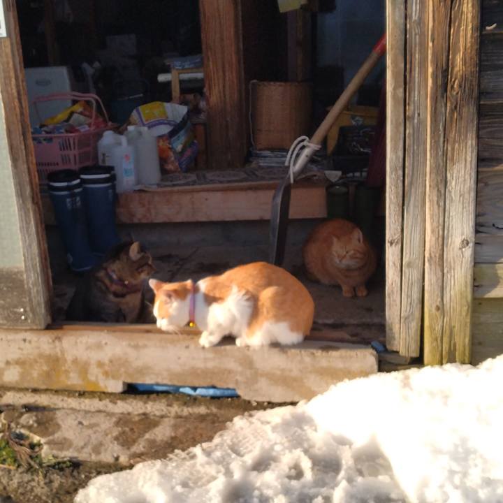 F97b6c7d f7e8 4ed5 ab81 4877b43dc550 1740470362899