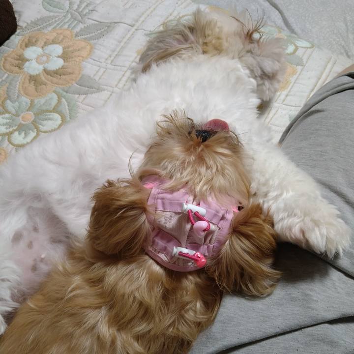 F97b926a 16bf 442d 8911 b0ad2d860951 1629757714930