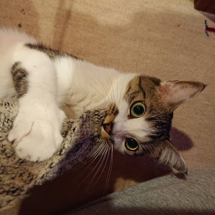 F97bd526 cfea 4b7c 8c06 a94141c60d2a 1607389813821