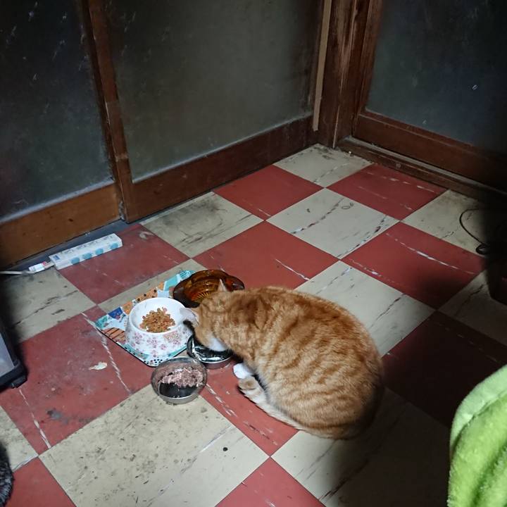 F97be9a9 720f 42e9 b56a d386b6d94cd8 1582833197212