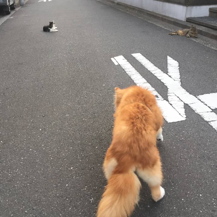 F97bfe24 a541 4707 8781 51e7510a6260 1523926642277