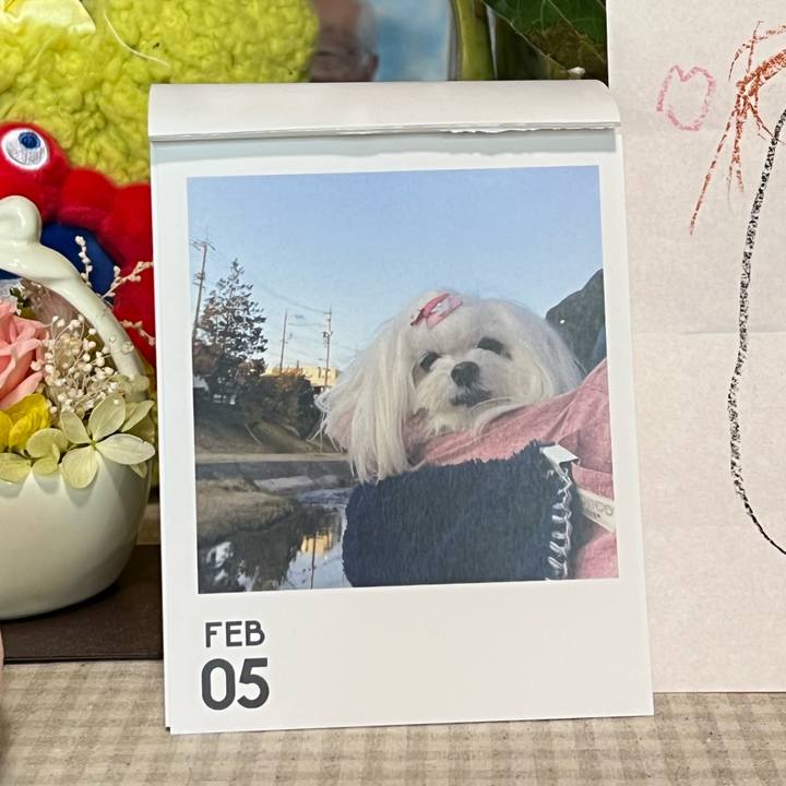 F97c00e3 64c8 410c 9b08 a091410668fc 1770295177744