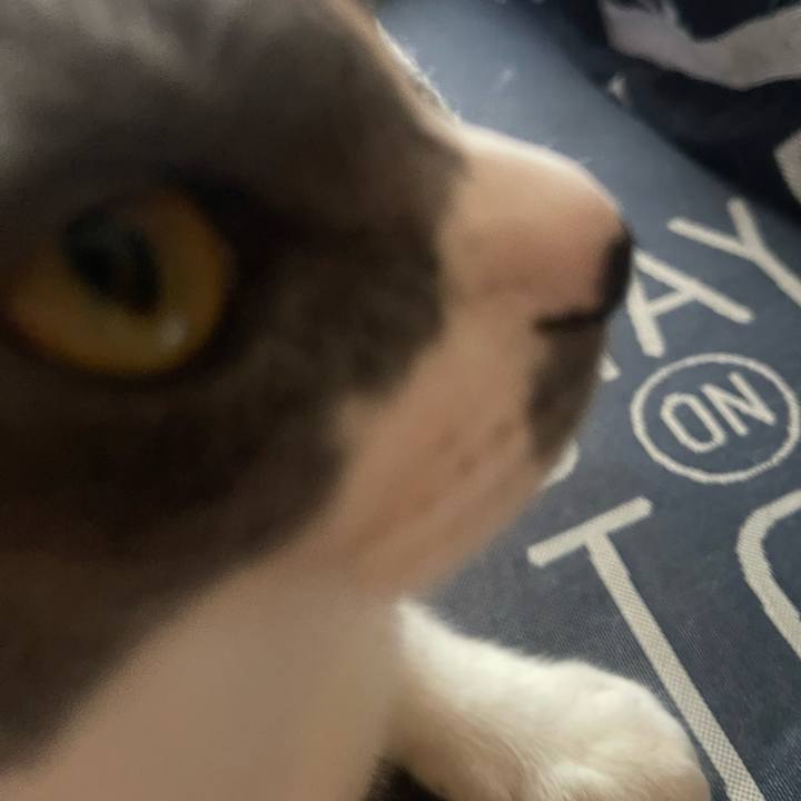 F97c1ab0 a054 4da0 9a19 d26c03199dd8 1719012304789