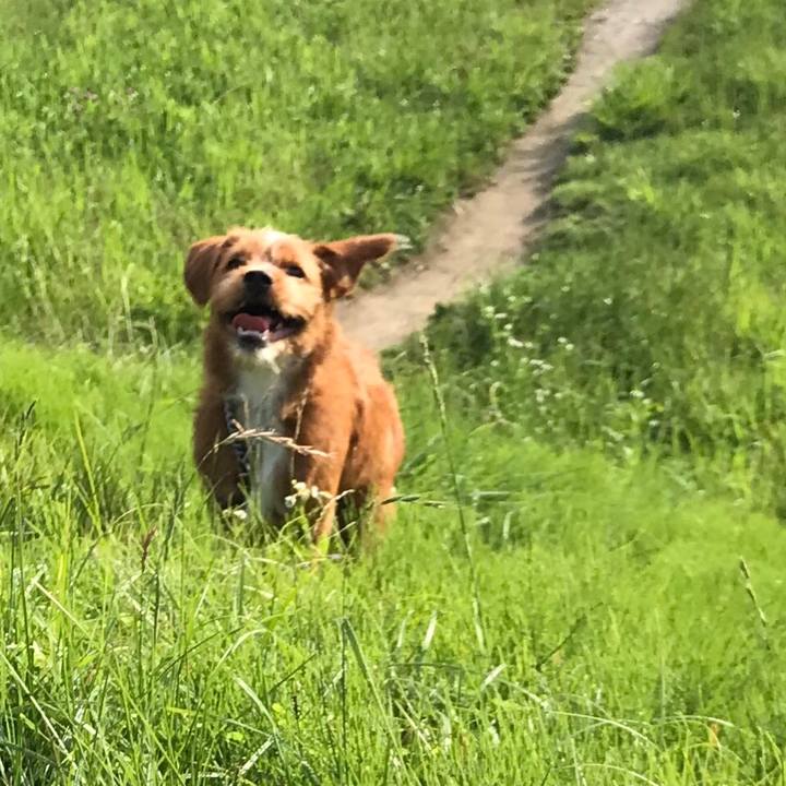 F97c1d0e 88b9 4e27 8456 b6ab170a87d0 1531784589693