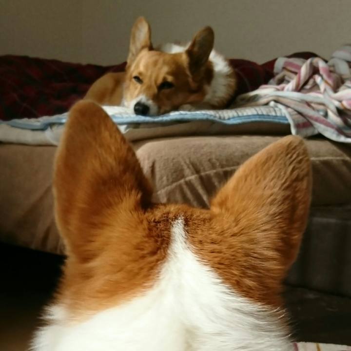 F97c4066 c309 44f4 af9a 0d1fa28e5b85 1547349618169