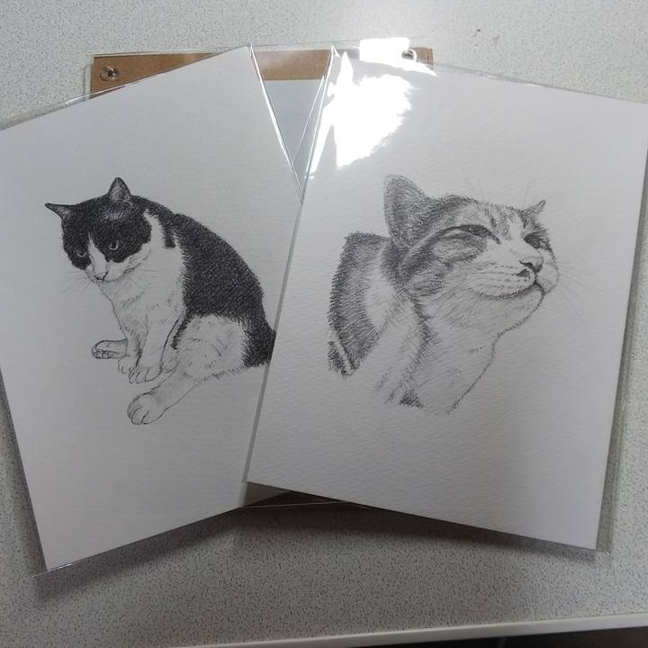 F97c574d f0ca 4048 8e1f 3353b49fcb53 1545217789123