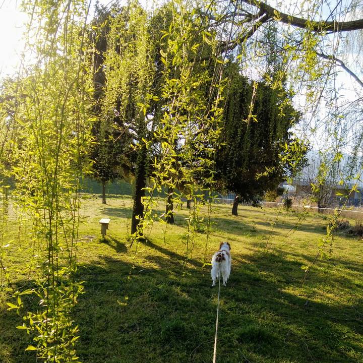 F97cbb34 419b 410d a7da a010b64cdfa6 1553385924766