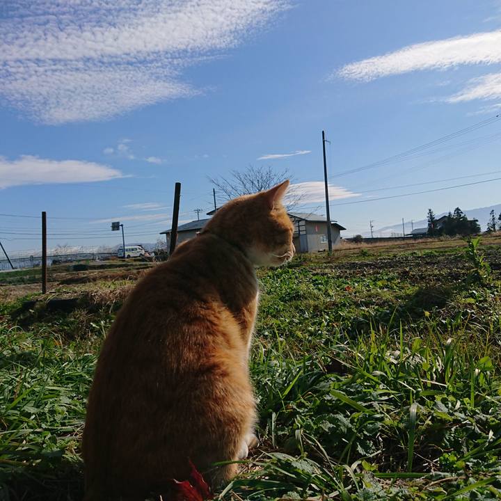 F97cda6b ff29 4a26 9361 cd925f70694e 1606012258087