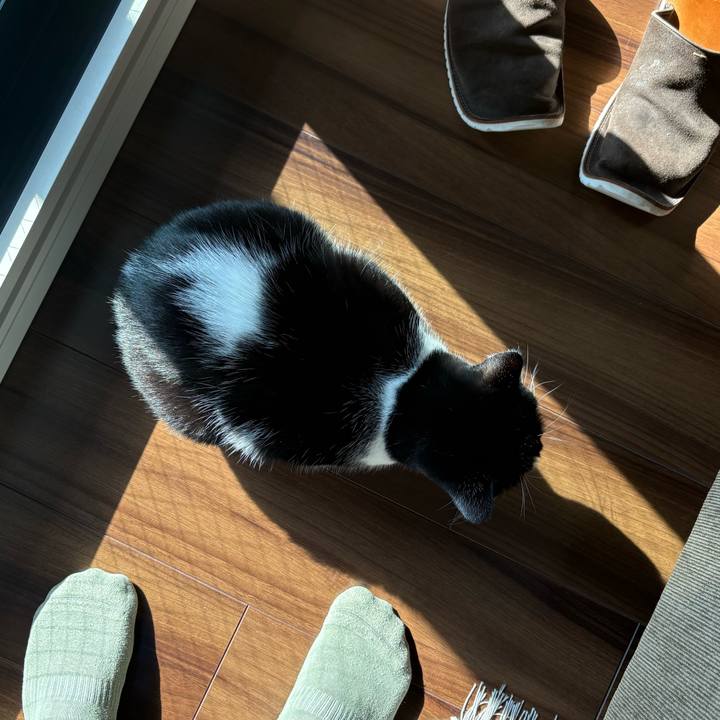 F97d09a1 aab3 4195 abce eb8d04adab6b 1763696808286