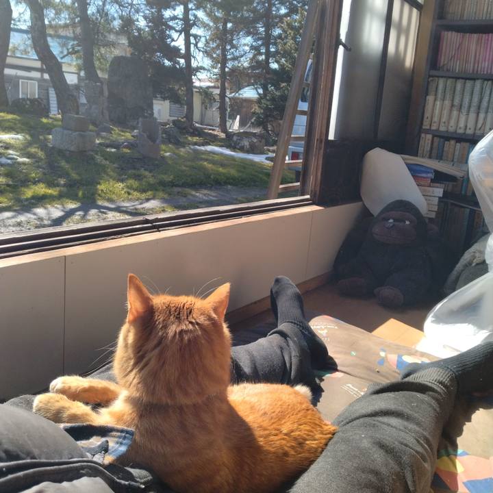 F97d37da 0c42 4917 b7cf 8b9277bf60fa 1708237002243