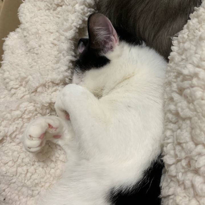 F97d57e9 ac92 43a0 b5a8 3008e2bd76bd 1553834557135