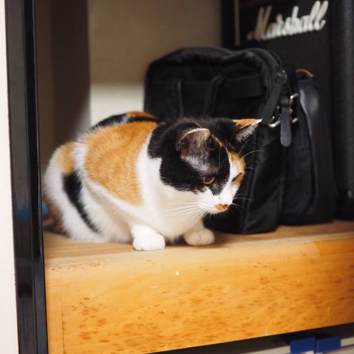 F97d58de 0eb1 4f0d b24e 34c8c1bcea62 1532919996292